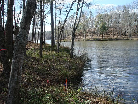 Stunning Lot/Alabama River