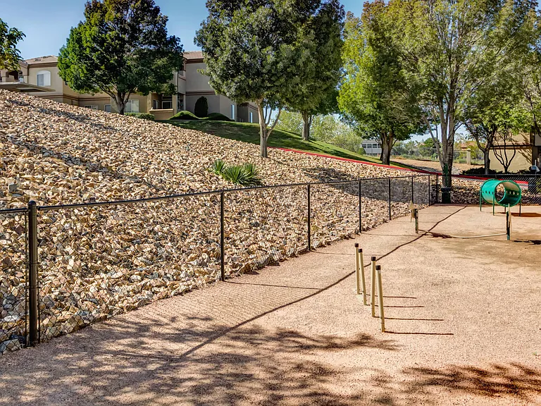 Dog park