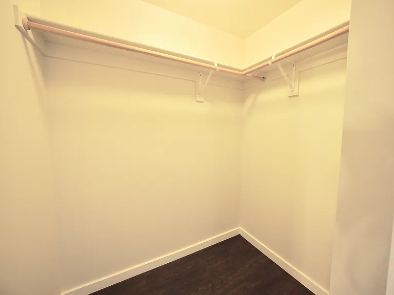 Walk-in Closet #1