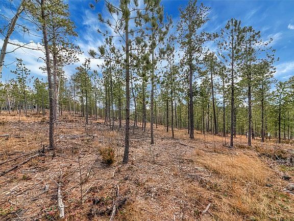 3rd image of Lofty Pines Ct