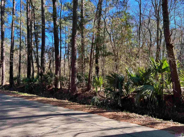 LOT 9 Sandra Dr, Walker, LA 70785