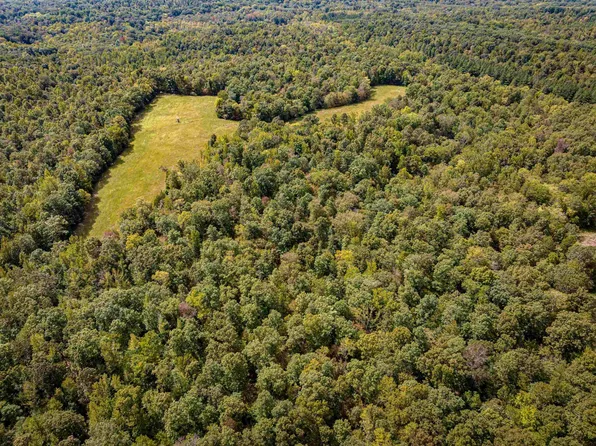 2642 Brodies Landing Rd, Parsons, TN 38363