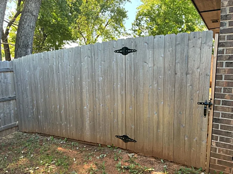 Animireddy Duplex~ Blue Team — Photo 27