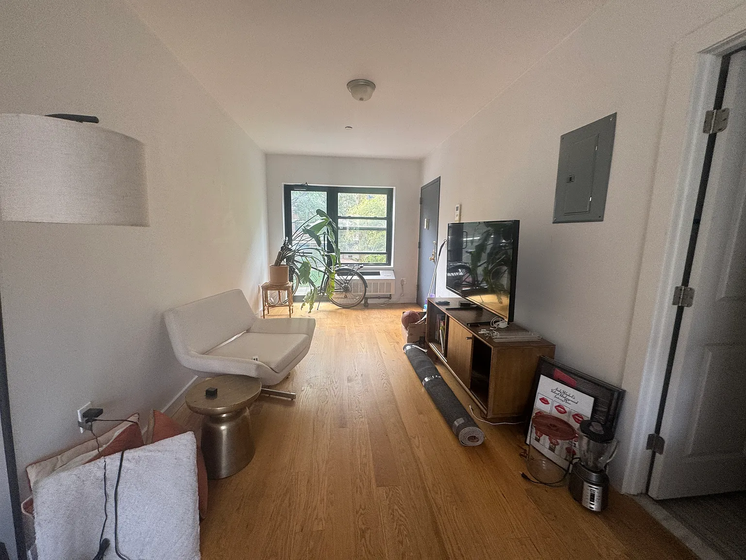 141 Maujer Street — Photo 2