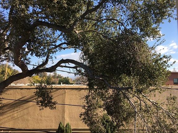 5th image of 3943 El Camino Real