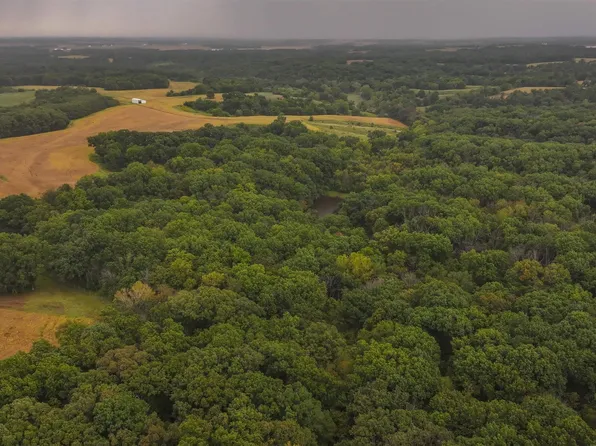 34202 395th Ln, Baylis, IL 62314