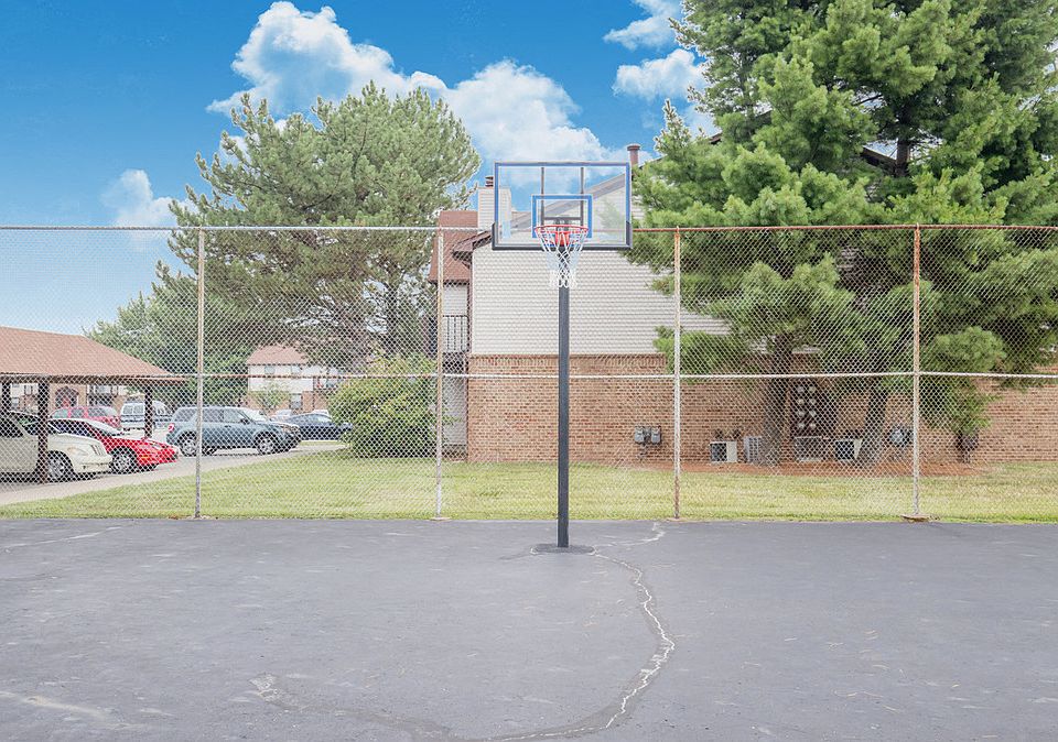 Basketball Court