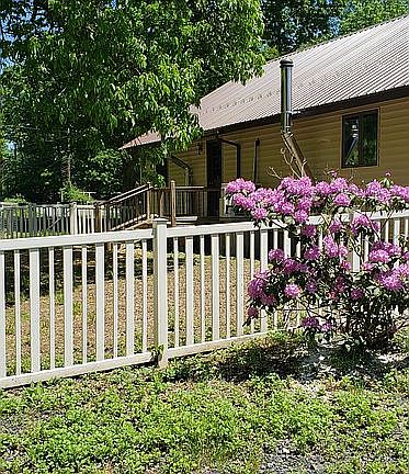 Fenced in back yard