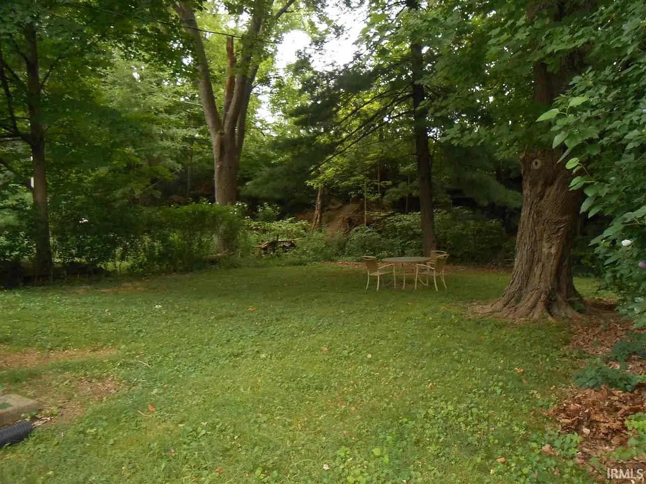 3 bed, 1.0 bath, 984 sqft, $2,275 — Photo 4
