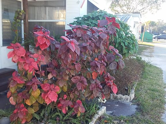 5th image of 5917 14th St W Lot 105