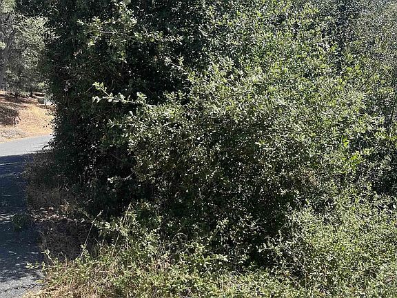 5th image of 0 Whispering Pines Dr #186