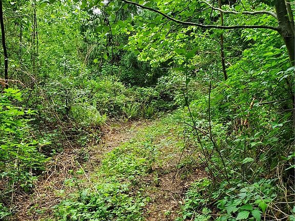 3rd image of 0 W Elk Run Dr