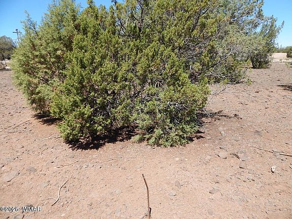 5th image of 8337 Navajo Dr