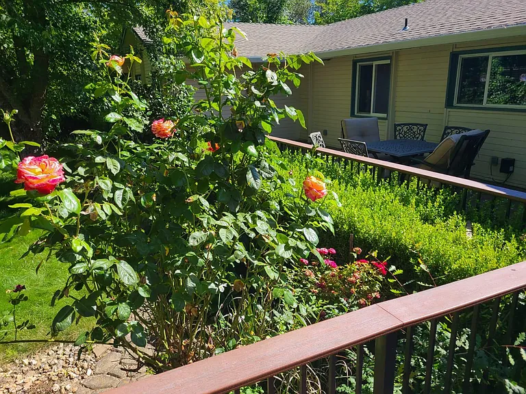 6658 Laird Rd — Photo 23
