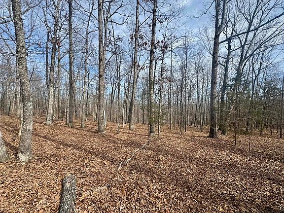 3rd image of 0 Barnes Rd