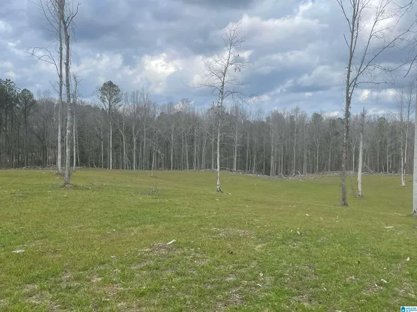 4 Truman Aldrich Pkwy #15, West Blocton, AL 35184