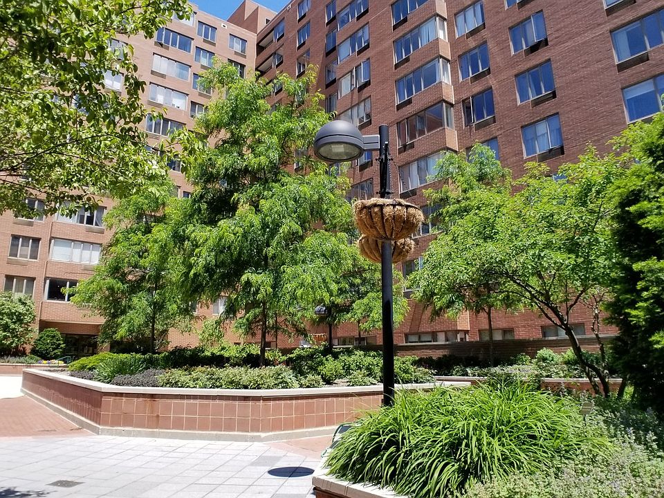 1st image of 801 S Plymouth Ct APT 101