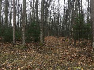 Xxx Joans Way Ct, Roscommon, MI 48653