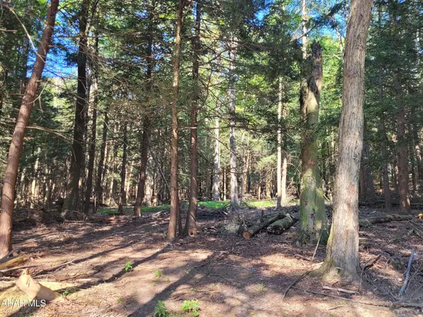 0 Eagle Crest Ln, Flinton, PA 16640