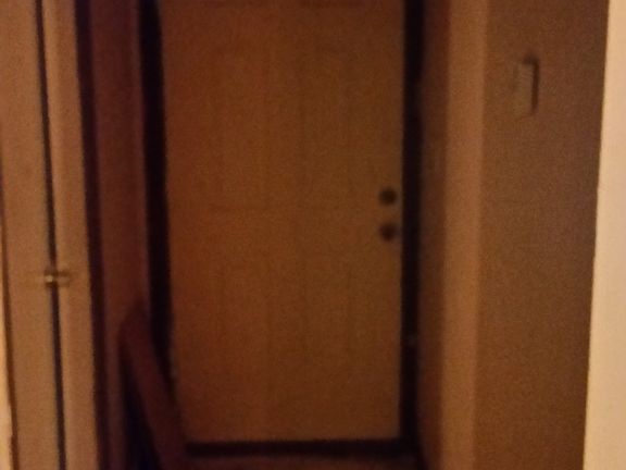 Front hallway 