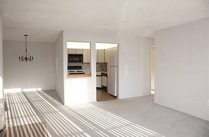 4th image of 3511 Holman Ct