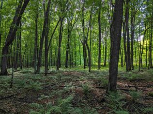 On Powerline Rd, Phillips, WI 54555