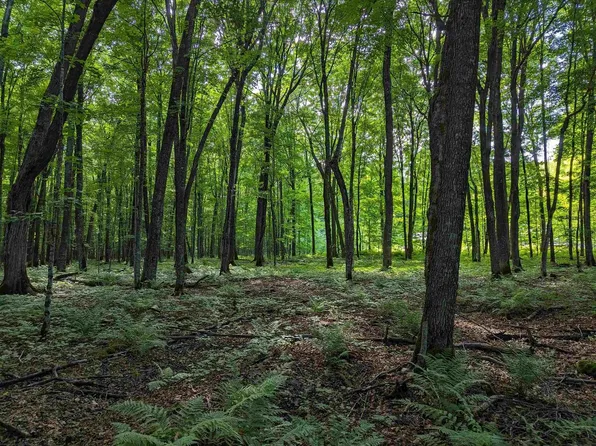 On POWERLINE ROAD, Phillips, WI 54555
