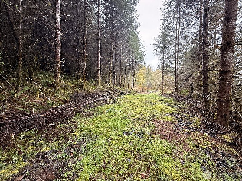 5th image of 0 Bunker Creek Road