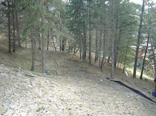 Private backyard view onto wooded lot.