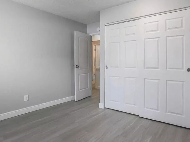 Modern, sunlit empty room with light gray walls, elegant hardwood flooring, and a convenient sliding closet door.