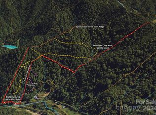 46/ACRE S Jarrett Cove Rd, Marshall, NC 28753