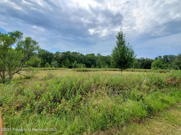 0 Prosperity Ln, Brooksville, FL 34604