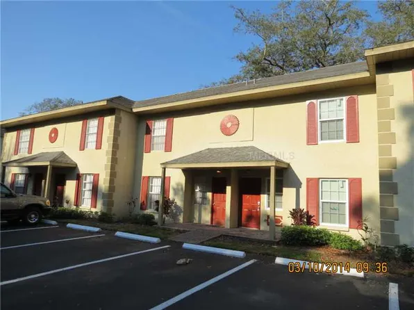 5208 Sunridge Palms Dr, Tampa, FL 33617