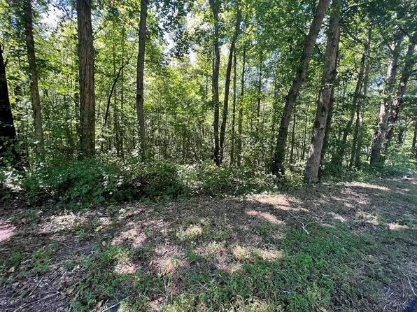 0 Old Draketown Trl #293, Temple, GA 30179