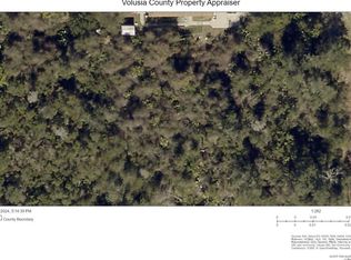 5806 Spruce Creek Woods Dr #4, Pt Orange, FL 32127