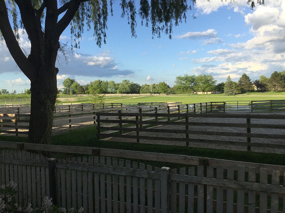 View of horse farm