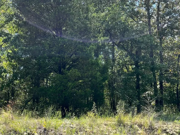 0 Richardson Mill Rd, Fort Valley, GA 31030