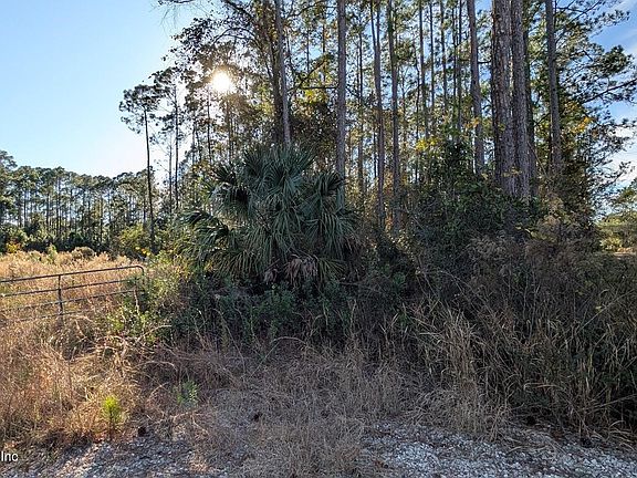 4th image of 113 WHITE PINE Lane