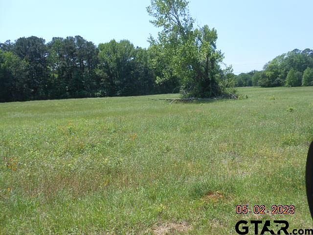 2nd image of LOT 3 County Road 217 E