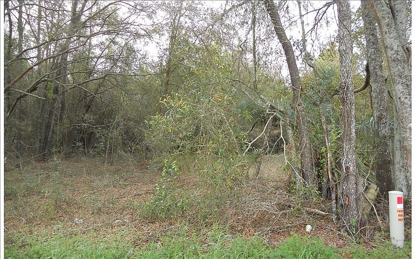 2nd image of 240TH Street
