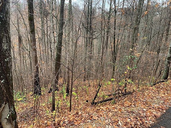 2nd image of 13 Emerald Springs Loop Lot 13