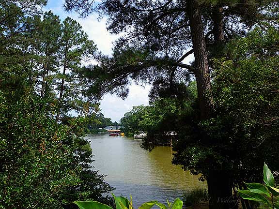 2nd image of 45 Egret Ct