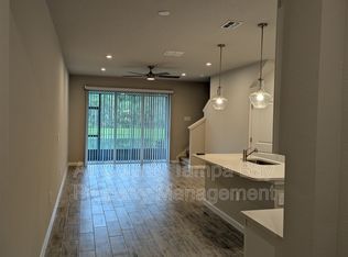 26122 Fantasy Sky Ln, Lutz, FL 33559