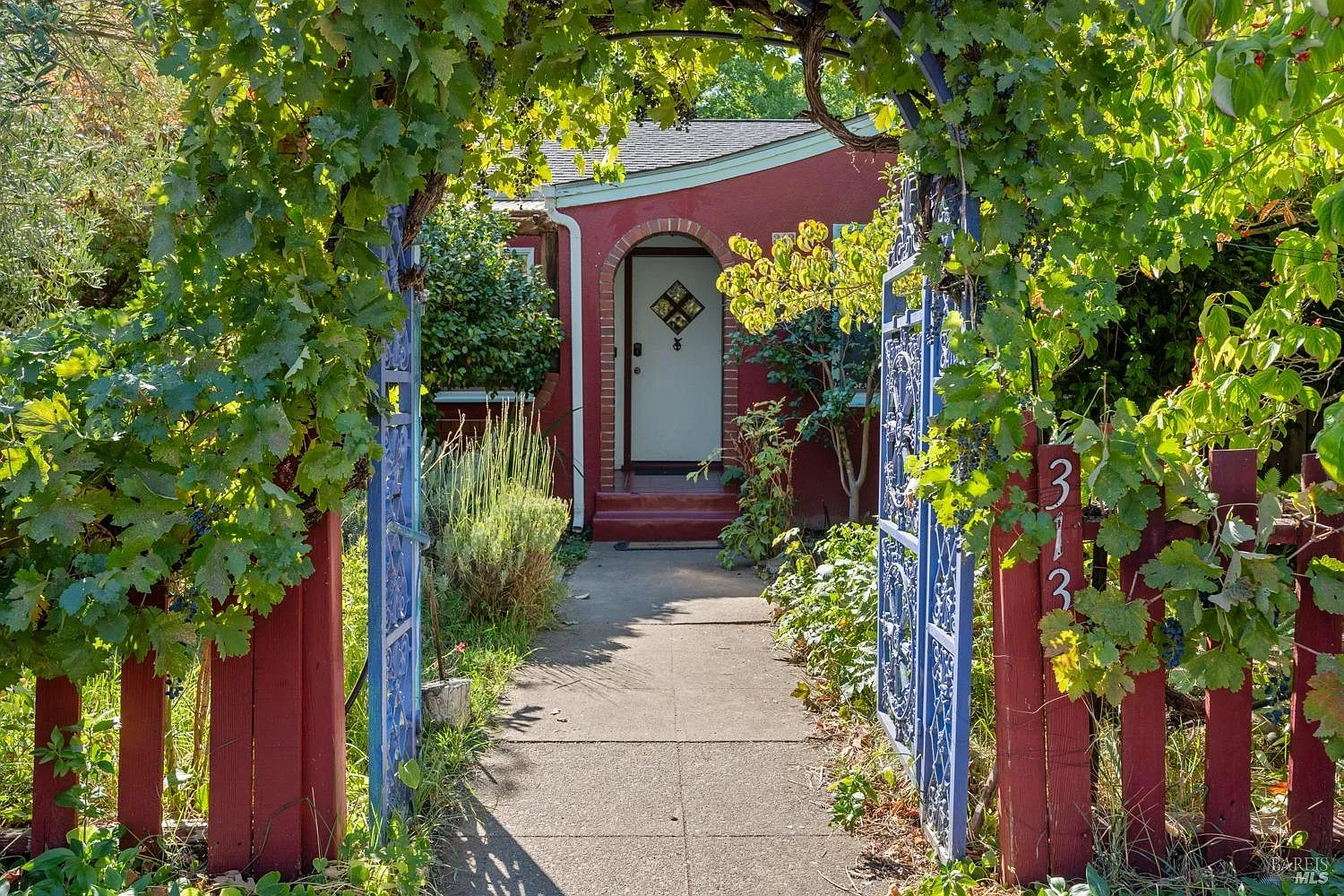 313 Jones Street photo 1