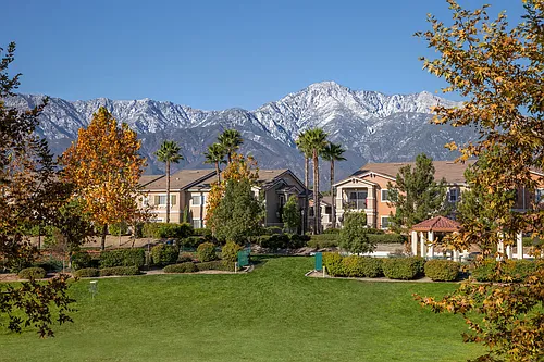 Jamboree Apartments and Townhomes Photo 1