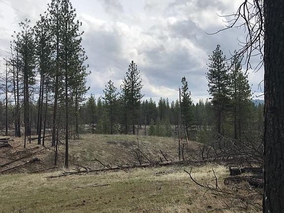 5th image of 5699D Highway 231 Dr