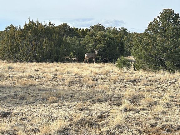 5th image of Lot 142a Silver Spurs Ranch LOT 142a