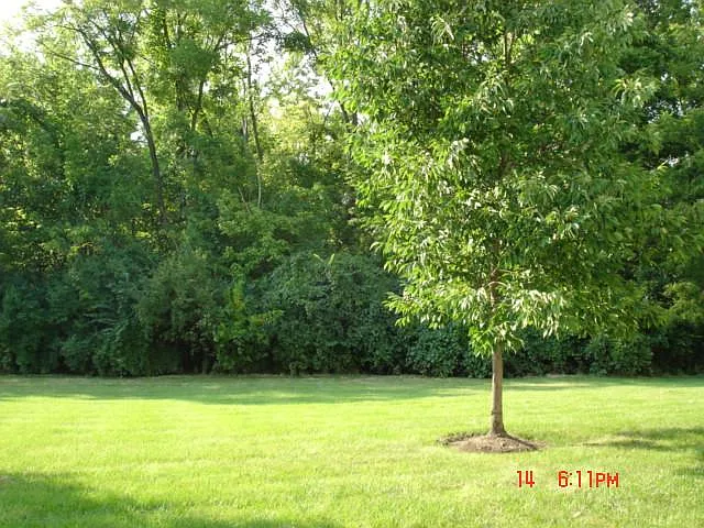 4150 Spanish Bay Dr — Photo 23