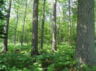 0 Silver Lake Rd, Wilmington, NY 12997