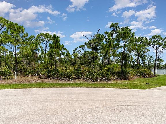 5th image of 9437 TREASURE LAKE COURT LOT 5